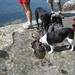Henry Hackett Photo 11