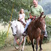 Harold Paulsen Photo 8