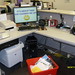 Colleen Singleton Photo 7