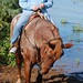 Clifford Mcdowell Photo 1