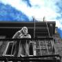 Jay Wilder Photo 15
