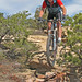 Steve Little Photo 44