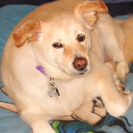 Betty Willis Photo 5