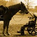 Jill Allison Photo 28