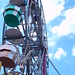 Roberta Ferris Photo 7