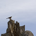 Robin Stump Photo 32