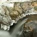 Crystal Rush Photo 15