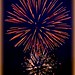 Lori Day Photo 16