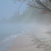 Sandy Wolfe Photo 28