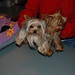 Cindy Beatty Photo 19