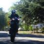 Shane Ellis Photo 26