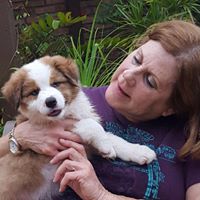 Sharon Rogers Photo 32