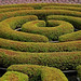 Robert Maze Photo 11