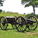 Debra Cannon Photo 11