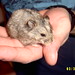 Chester Chance Photo 5