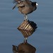 Barbara Coots Photo 8
