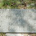 Walter Henderson Photo 16