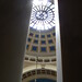 Virginia Schell Photo 10
