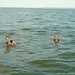 Daniel Trent Photo 12