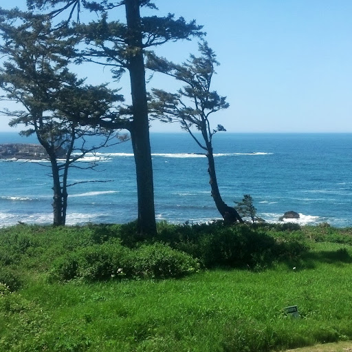 Debra Hansen Photo 23