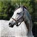 Ian Gray Photo 32