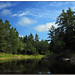 Lisa Rivers Photo 10