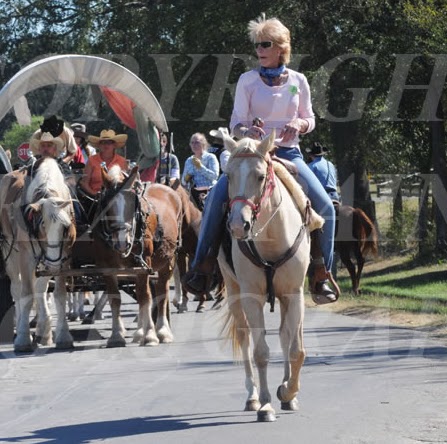 Dee Steadman Photo 2