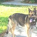 Jack Pou Photo 5
