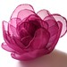 Ruby Flowers Photo 12