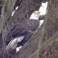 William Truax Photo 19