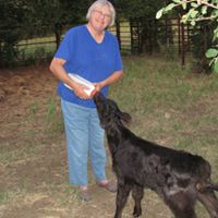 Vickie Melton Photo 11