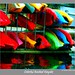 Barbara Goldman Photo 33