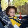 Nancy Mcneely Photo 20