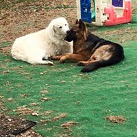 Nancy Merrell Photo 21