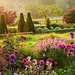 Sandy Hedges Photo 19