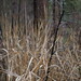 John Shields Photo 49