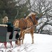 Paul Cutter Photo 6