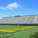 Raymond Fields Photo 21