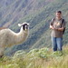 Richard Llamas Photo 27