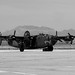Robert Collings Photo 36