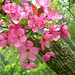 Patrick Eagan Photo 12
