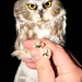 Russell Gifford Photo 8
