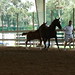 Annmarie Prince Photo 2