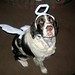 Bobbie Magee Photo 5