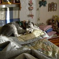 Judy Staley Photo 23