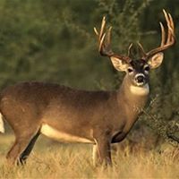 John Cardwell Photo 41