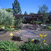 Carol Schmidt Photo 16