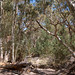 Alice Wells Photo 5
