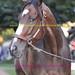 Amy Blasi Photo 8