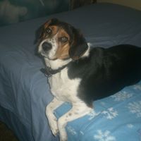 Mary Wiles Photo 34